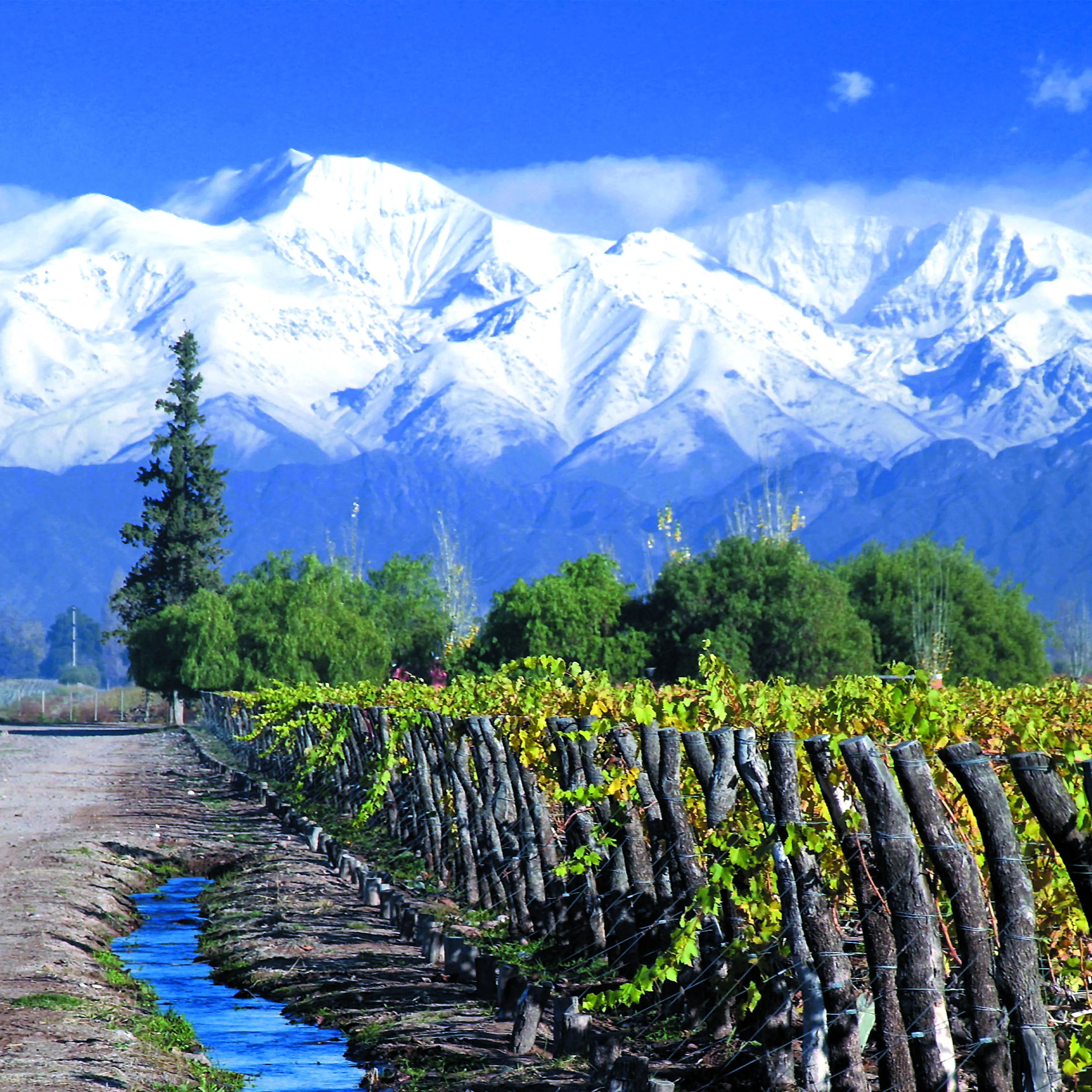 Mendoza experiencia